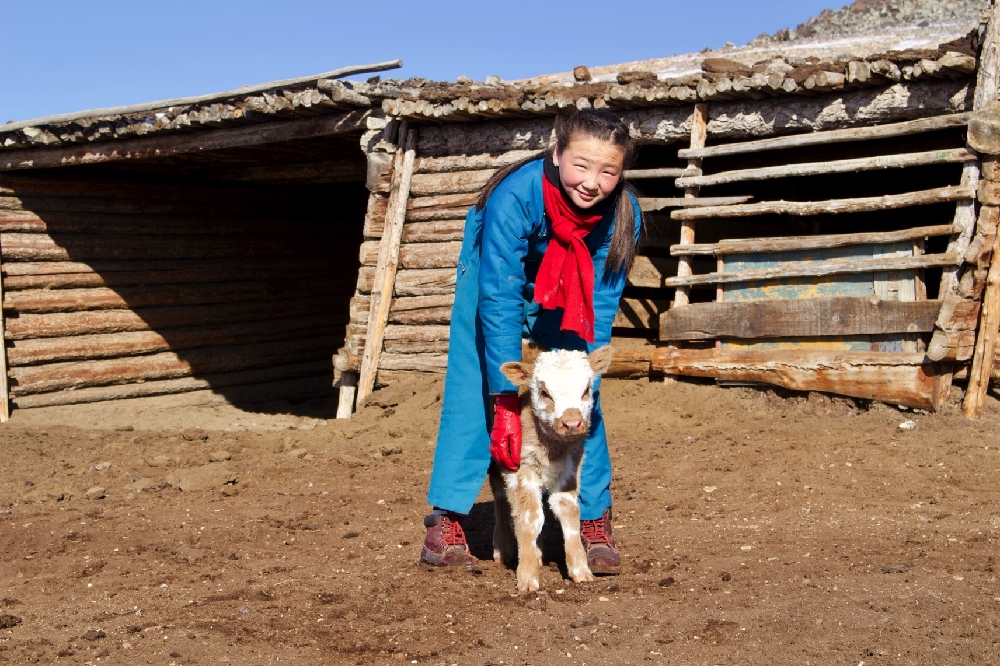 Mädchen mit Kalb